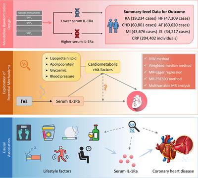 Apolipoprotein B and interleukin 1 receptor antagonist: reversing the risk of coronary heart disease